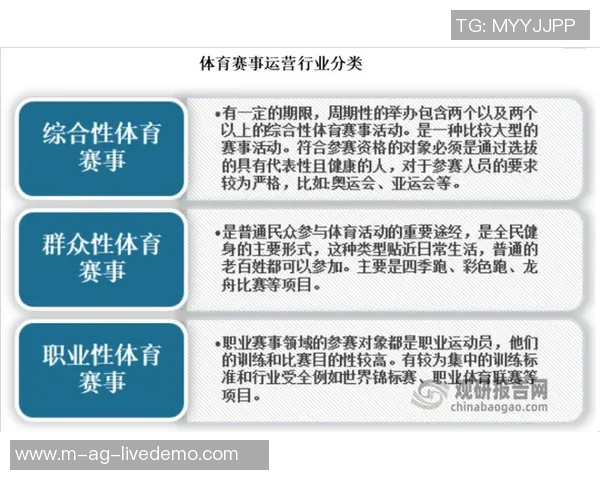 品牌足球的崛起与发展探讨如何塑造未来的体育营销新格局